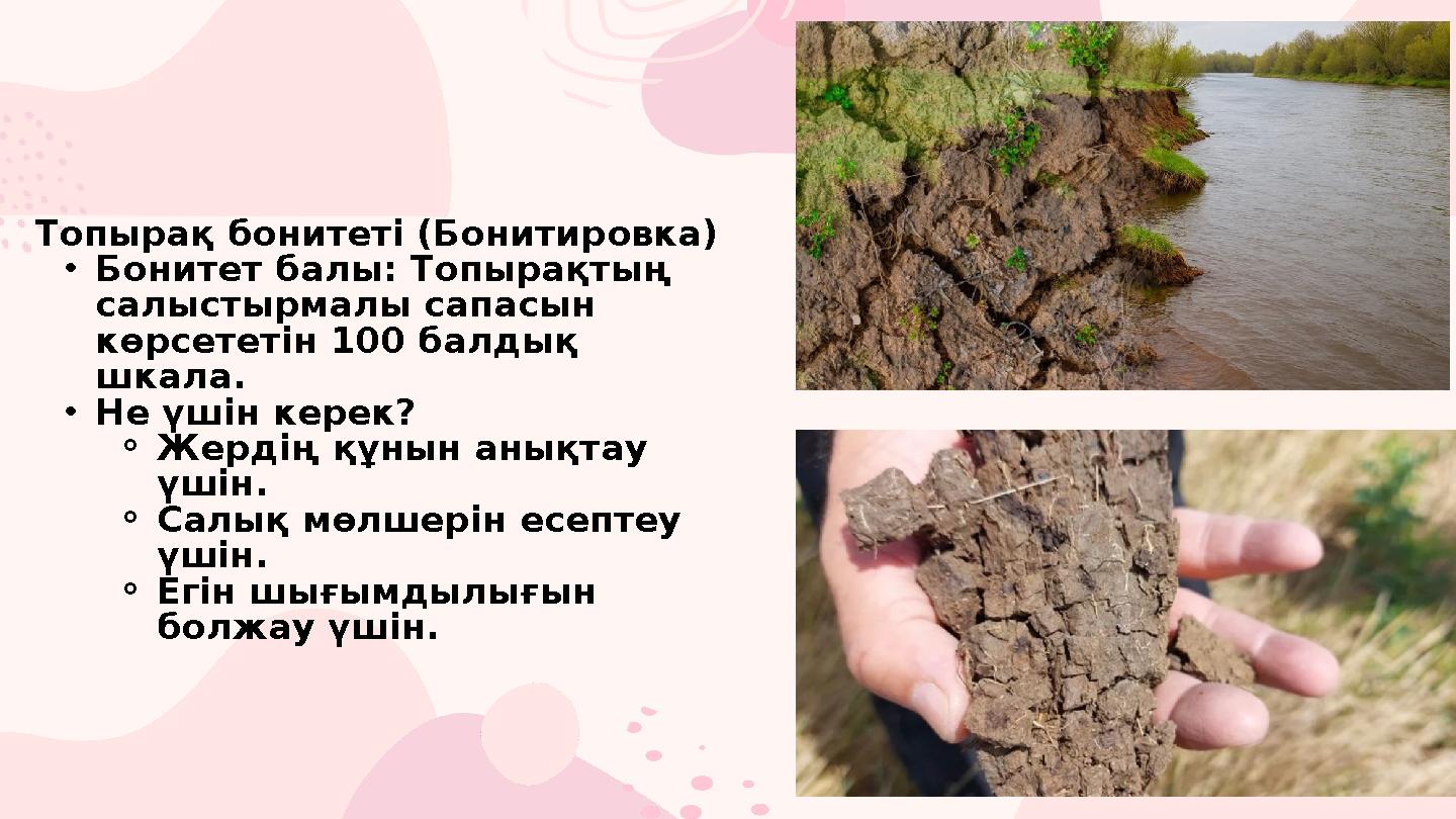 Топырақ бонитеті (Бонитировка) •Бонитет балы: Топырақтың салыстырмалы сапасын көрсететін 100 балдық шкала. •Не үшін к