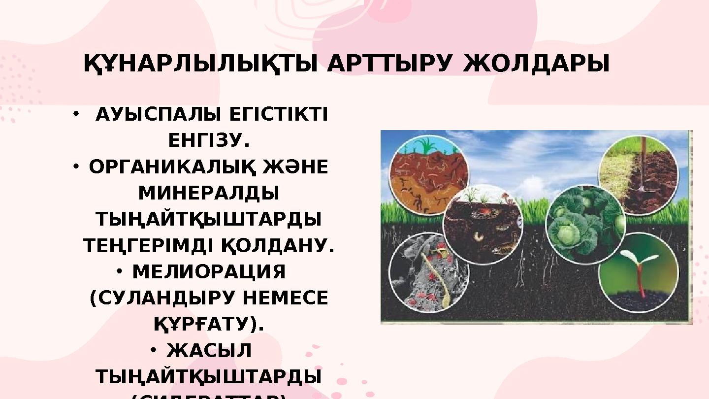 ҚҰНАРЛЫЛЫҚТЫ АРТТЫРУ ЖОЛДАРЫ • АУЫСПАЛЫ ЕГІСТІКТІ ЕНГІЗУ. •ОРГАНИКАЛЫҚ ЖӘНЕ МИНЕРАЛДЫ ТЫҢАЙТҚЫШТАРДЫ ТЕҢГ