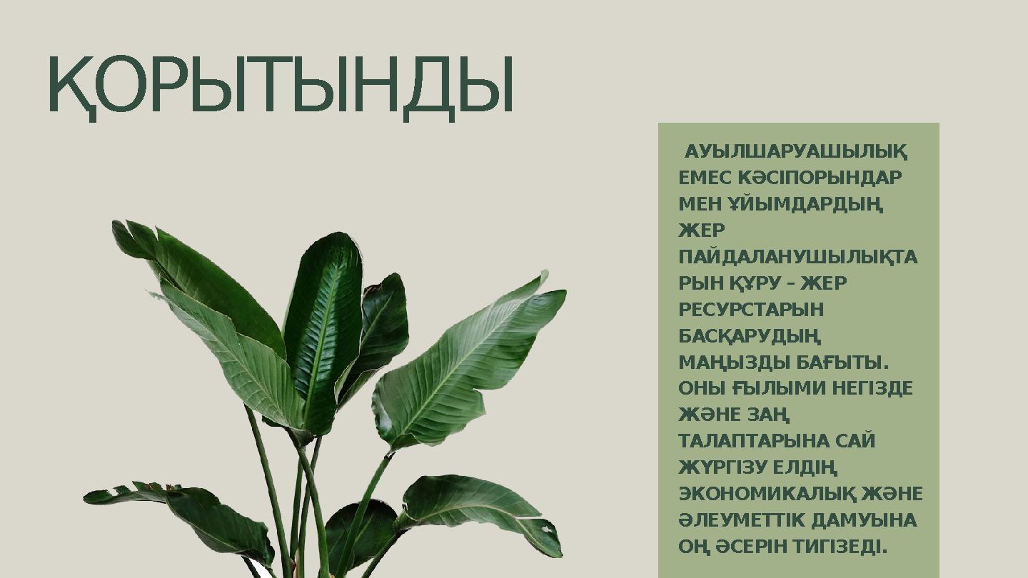 ҚОРЫТЫНДЫ АУЫЛШАРУАШЫЛЫҚ ЕМЕС КӘСІПОРЫНДАР МЕН ҰЙЫМДАРДЫҢ ЖЕР ПАЙДАЛАНУШЫЛЫҚТА РЫН ҚҰРУ – ЖЕР РЕСУРСТАРЫН БАСҚАРУДЫҢ