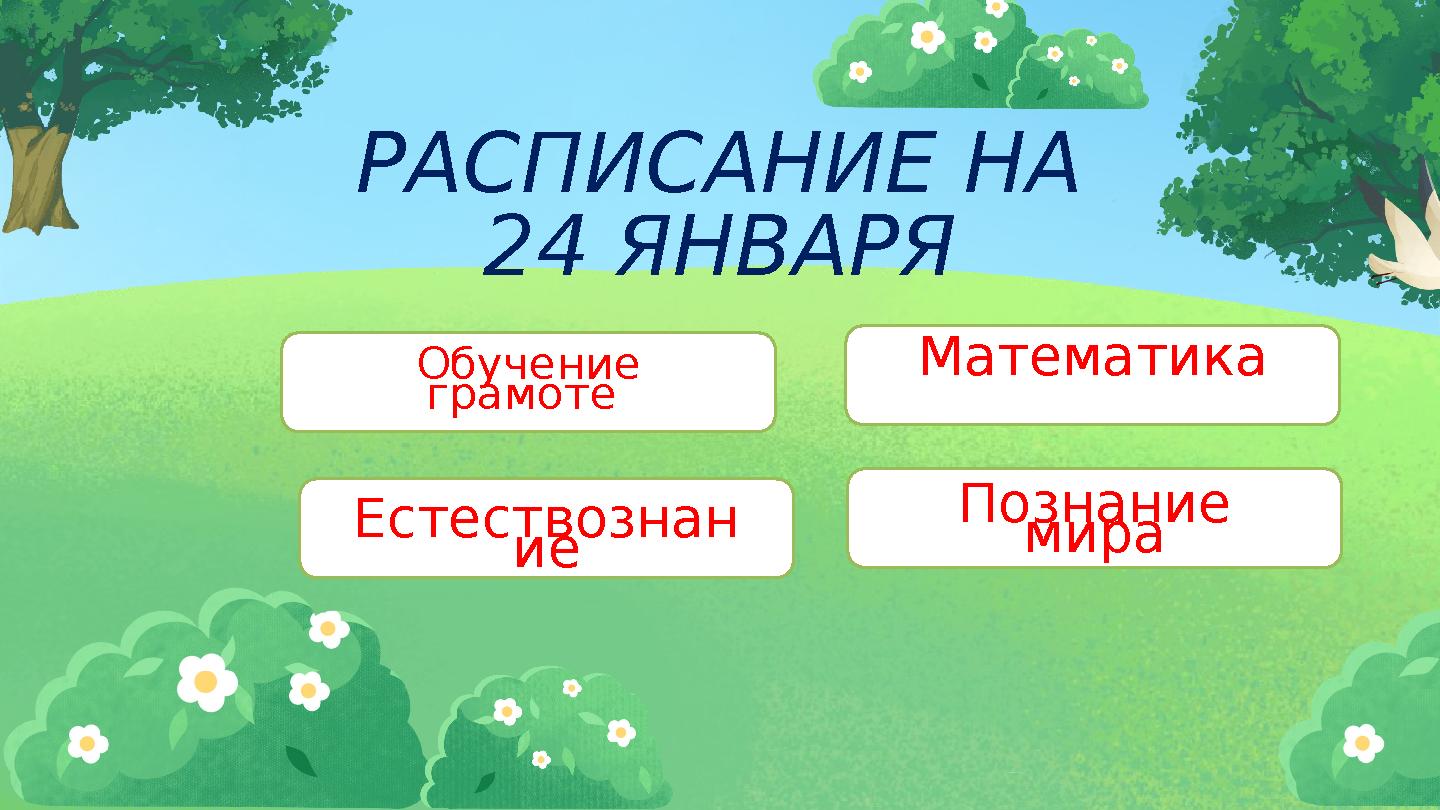 естест РАСПИСАНИЕ НА 24 ЯНВАРЯ Обучение грамоте Математика Естествознан ие Познание мира