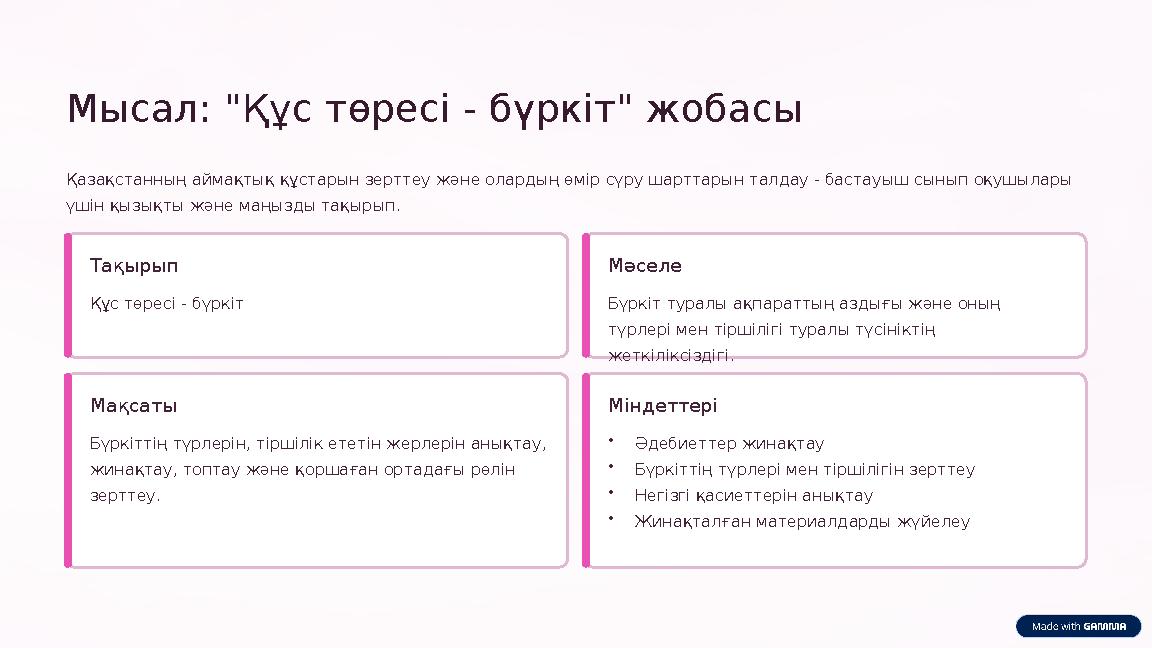 Мысал: "Құс төресі - бүркіт" жобасы Қазақстанның аймақтық құстарын зерттеу және олардың өмір сүру шарттарын талдау - бастауыш сы