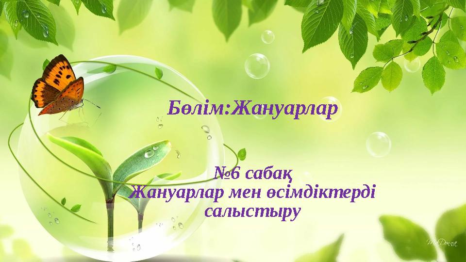 Бөлім:Жануарлар №6 сабақ Жануарлар мен өсімдіктерді салыстыру