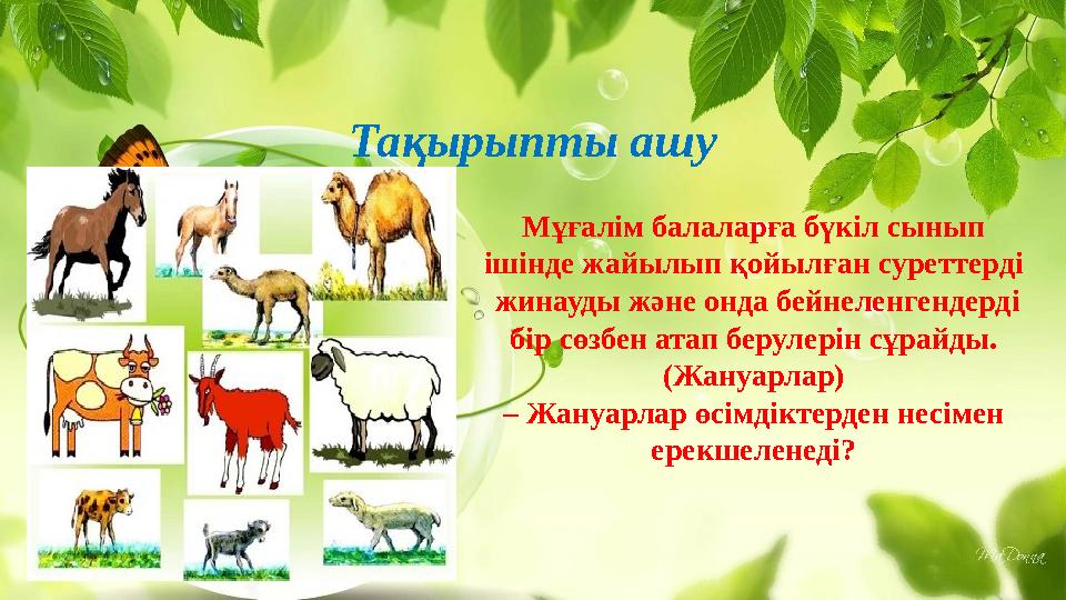 Тақырыпты ашу Мұғалім балаларға бүкіл сынып ішінде жайылып қойылған суреттерді жинауды және онда бейнеленгендерді бір сөзбен