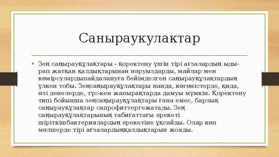 Саныраукулактар •Зең саңырауқұлақтары - қоректену үшін тірі ағзалардың ыды- рап жатқан қалдықтарынан нәруыздарды, майлар мен кө