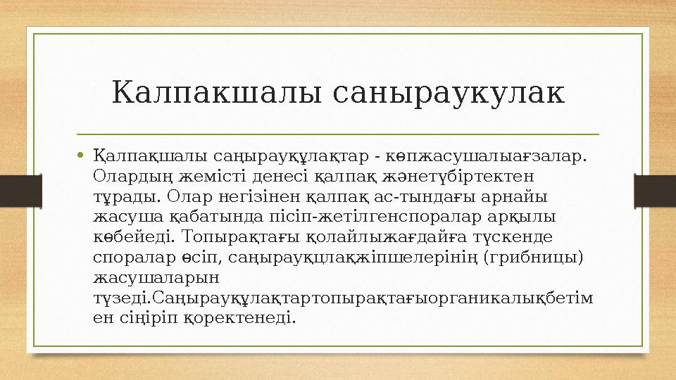 Калпакшалы саныраукулак •Қалпақшалы саңырауқұлақтар - көпжасушалыағзалар. Олардың жемісті денесі қалпақ жәнетүбіртектен тұрады