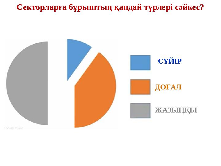 Секторларға бұрыштың қандай түрлері сәйкес? СҮЙІР ДОҒАЛ ЖАЗЫҢҚЫ