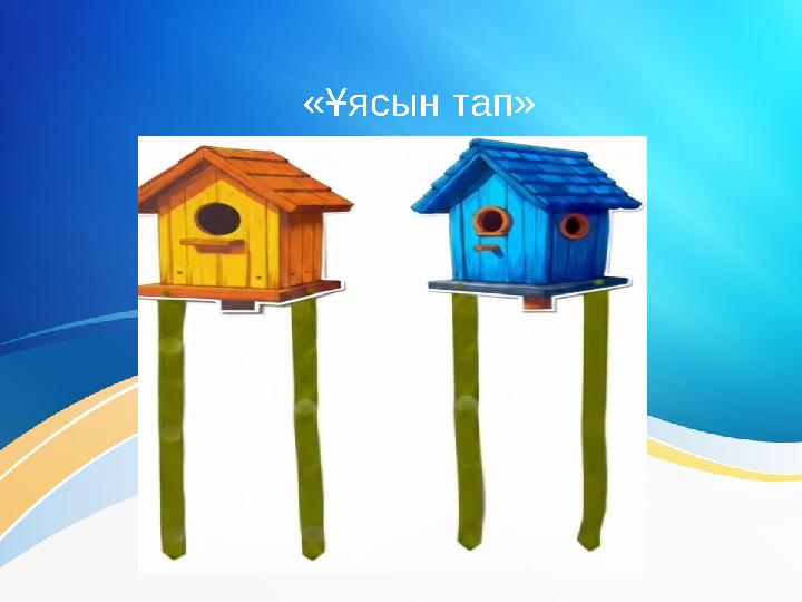 «Ұясын тап»