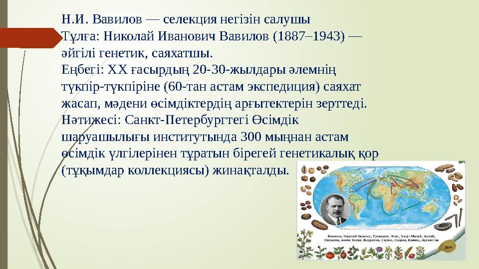 Н.И. Вавилов — селекция негізін салушы Тұлға: Николай Иванович Вавилов (1887–1943) — әйгілі генетик, саяхатшы. Еңбегі: ХХ ғасыр