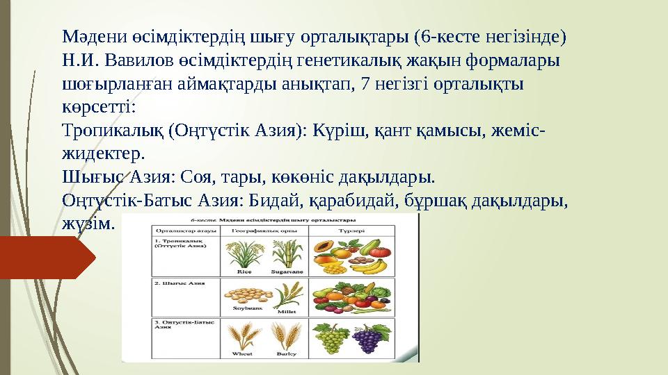 Мәдени өсімдіктердің шығу орталықтары (6-кесте негізінде) Н.И. Вавилов өсімдіктердің генетикалық жақын формалары шоғырланған ай