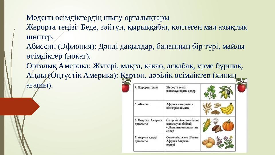 Мәдени өсімдіктердің шығу орталықтары Жерорта теңізі: Беде, зәйтүн, қырыққабат, көптеген мал азықтық шөптер. Абиссин (Эфиопия)