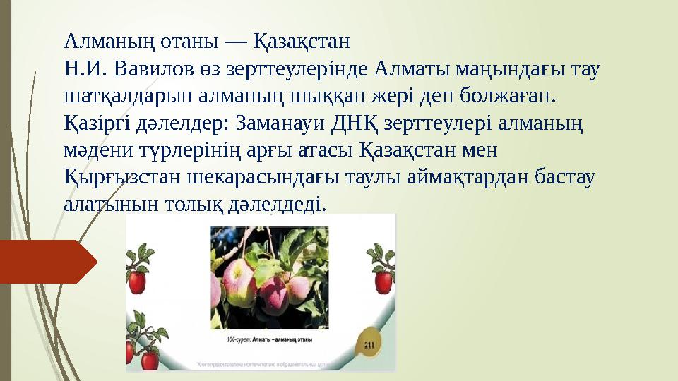 Алманың отаны — Қазақстан Н.И. Вавилов өз зерттеулерінде Алматы маңындағы тау шатқалдарын алманың шыққан жері деп болжаған. Қаз