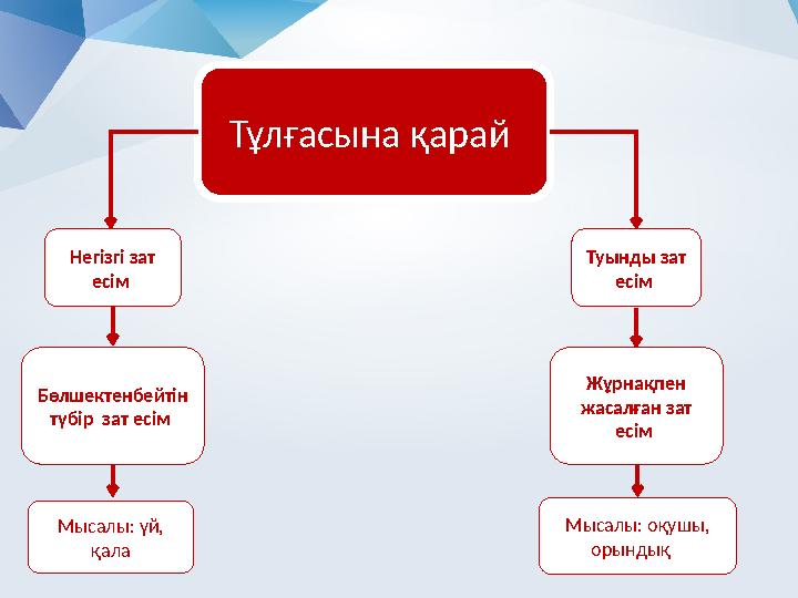 Тұлғасына қарай Негізгі зат есім Туынды зат есім Бөлшектенбейтін түбір зат есім Жұрнақпен жасалған зат есім Мысалы: