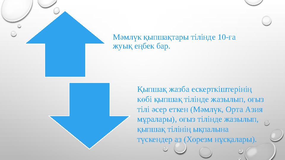 Мәмлүк қыпшақтары тілінде 10-ға жуық еңбек бар. Қыпшақ жазба ескерткіштерінің көбі қыпшақ тілінде жазылып, оғыз тілі әсер ет