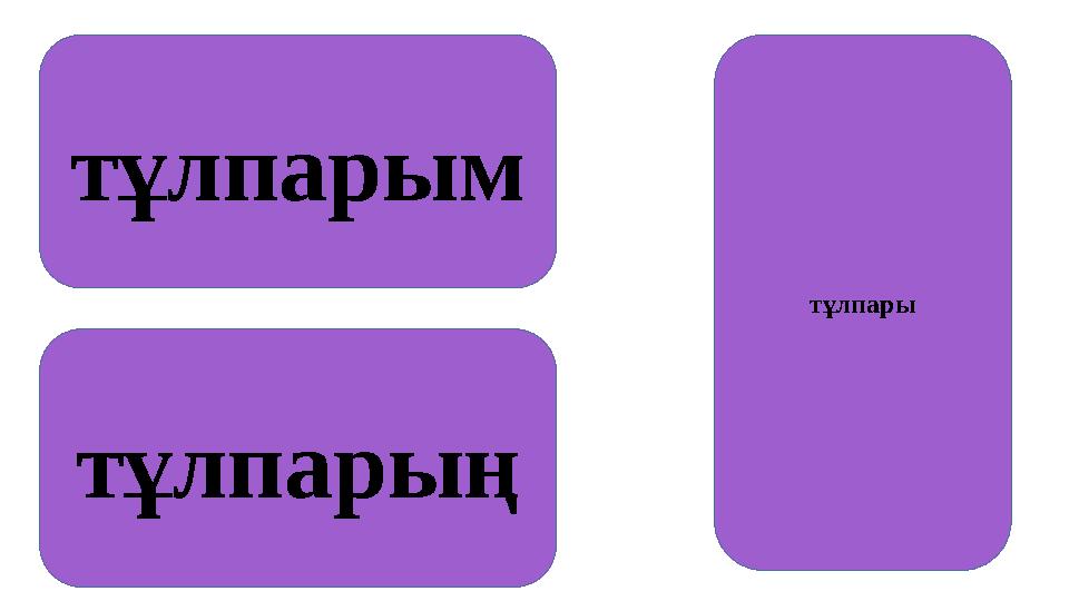 тұлпарым тұлпарың тұлпары