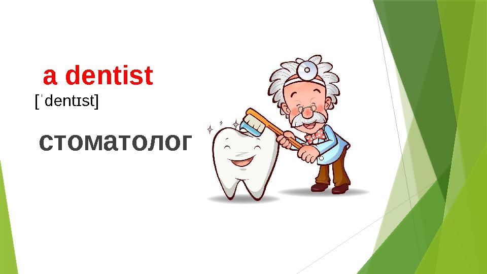 a dentist [ˈdentɪst] стоматолог