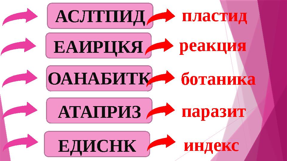 ЕАИРЦКЯ ОАНАБИТК АТАПРИЗ ЕДИСНК АСЛТПИД реакция ботаника паразит индекс пластид