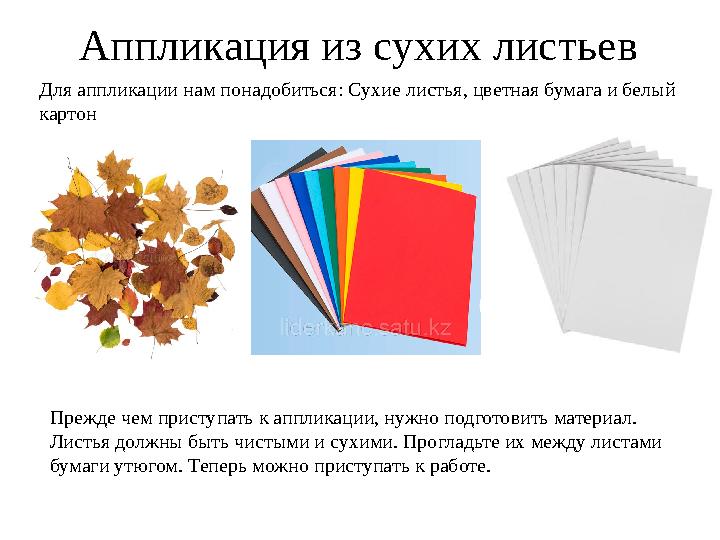 Аппликация из сухих листьев Прежде чем приступать к аппликации, нужно подготовить материал. Листья должны быть чистыми и сухими