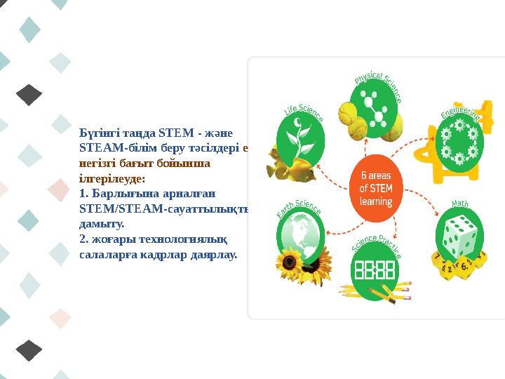 Бүгінгі таңда STEM - және STEAM-білім беру тәсілдері екі негізгі бағыт бойынша ілгерілеуде: 1. Барлығына арналған STEM/STEAM