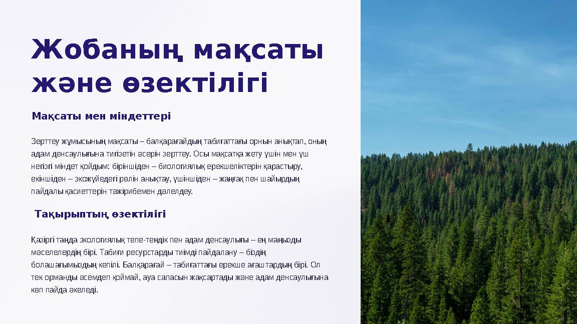 Жобаның мақсаты және өзектілігі Мақсаты мен міндеттері Зерттеу жұмысының мақсаты – балқарағайдың табиғаттағы орнын анықтап, он