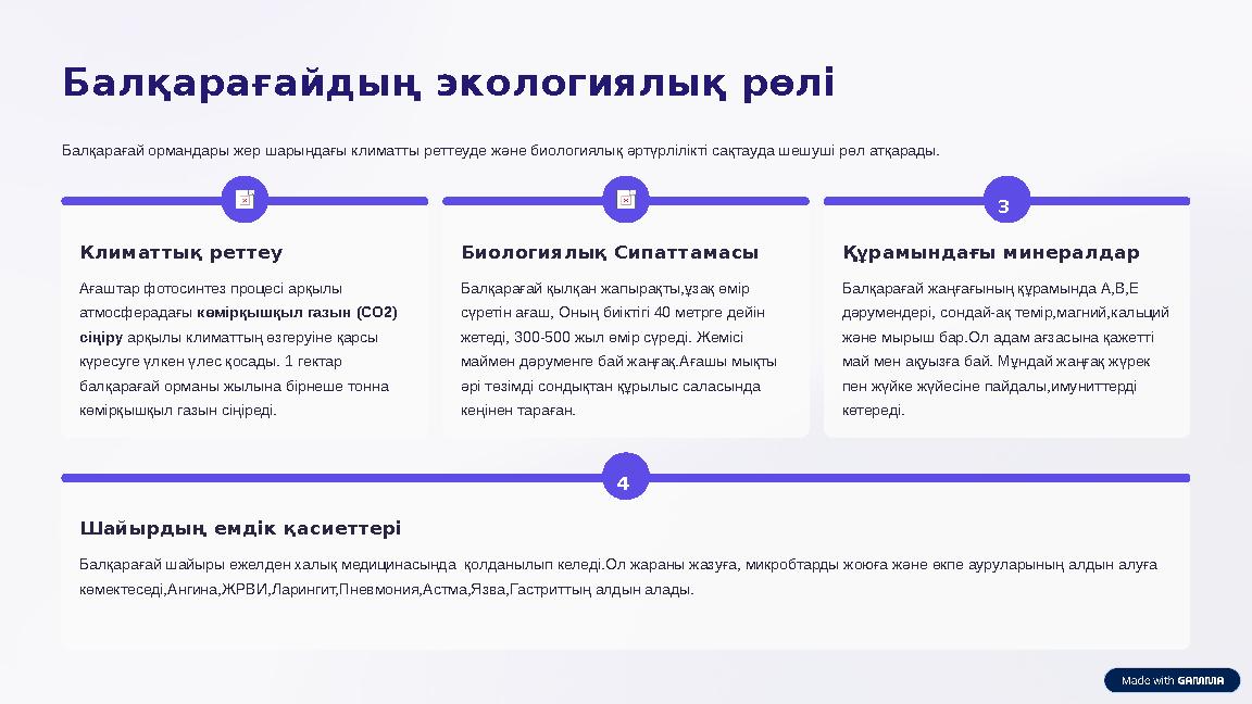 Балқарағайдың экологиялық рөлі Балқарағай ормандары жер шарындағы климатты реттеуде және биологиялық әртүрлілікті сақтауда шешуш