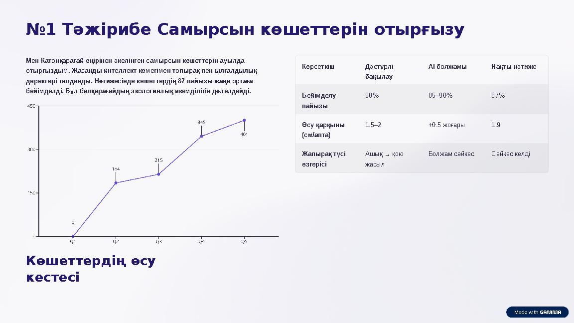 №1 Тәжірибе Самырсын көшеттерін отырғызу Мен Катонқарағай өңірінен әкелінген самырсын көшеттерін ауылда отырғыздым. Жасанды инт