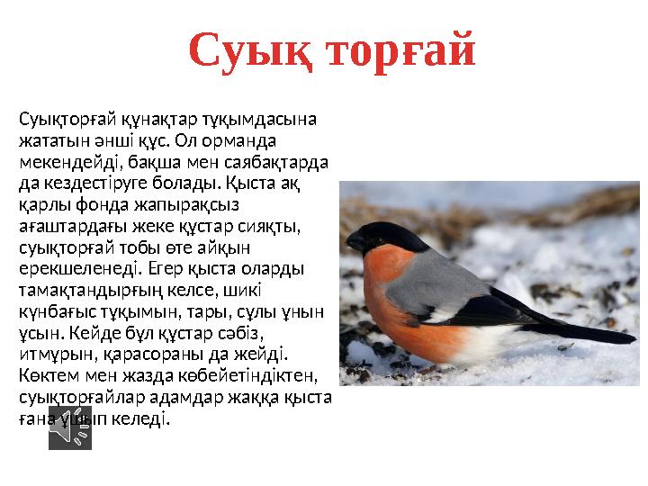 Суық торғай Суықторғай құнақтар тұқымдасына жататын әнші құс. Ол орманда мекендейді, бақша мен саябақтарда да кездестіруге