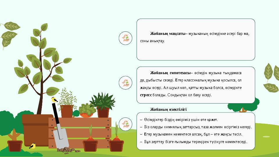 Жобаның өзектілігі – Өсімдіктер біздің өміріміз үшін өте қажет. – Біз оларды химиялық заттарсыз, таза жолмен өсіргіміз келеді.