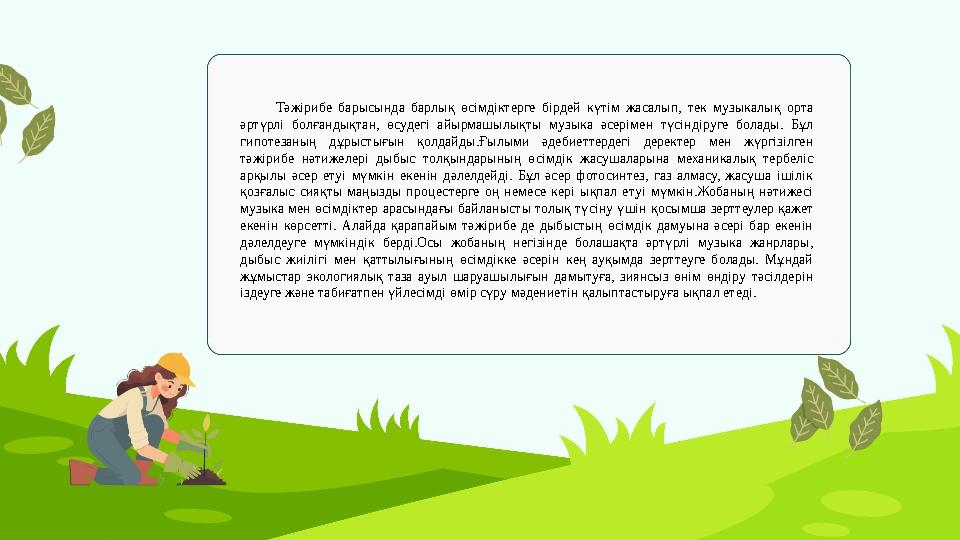 Тәжірибе барысында барлық өсімдіктерге бірдей күтім жасалып, тек музыкалық орта әртүрлі болғандықтан, өсудегі айырмашылықты муз