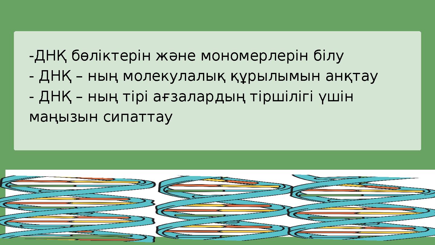 -ДНҚ бөліктерін және мономерлерін білу - ДНҚ – ның молекулалық құрылымын анқтау - ДНҚ – ның тірі ағзалардың тіршілігі үшін маңы