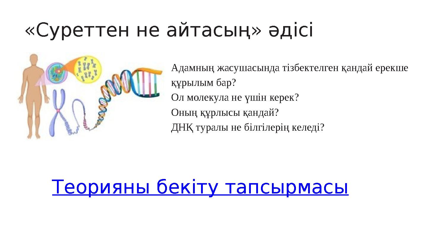 «Суреттен не айтасың» әдісі Адамның жасушасында тізбектелген қандай ерекше құрылым бар? Ол молекула не үшін керек? Оның құрлы