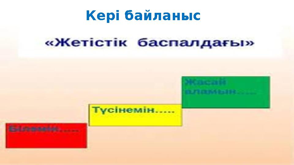 Кері байланыс