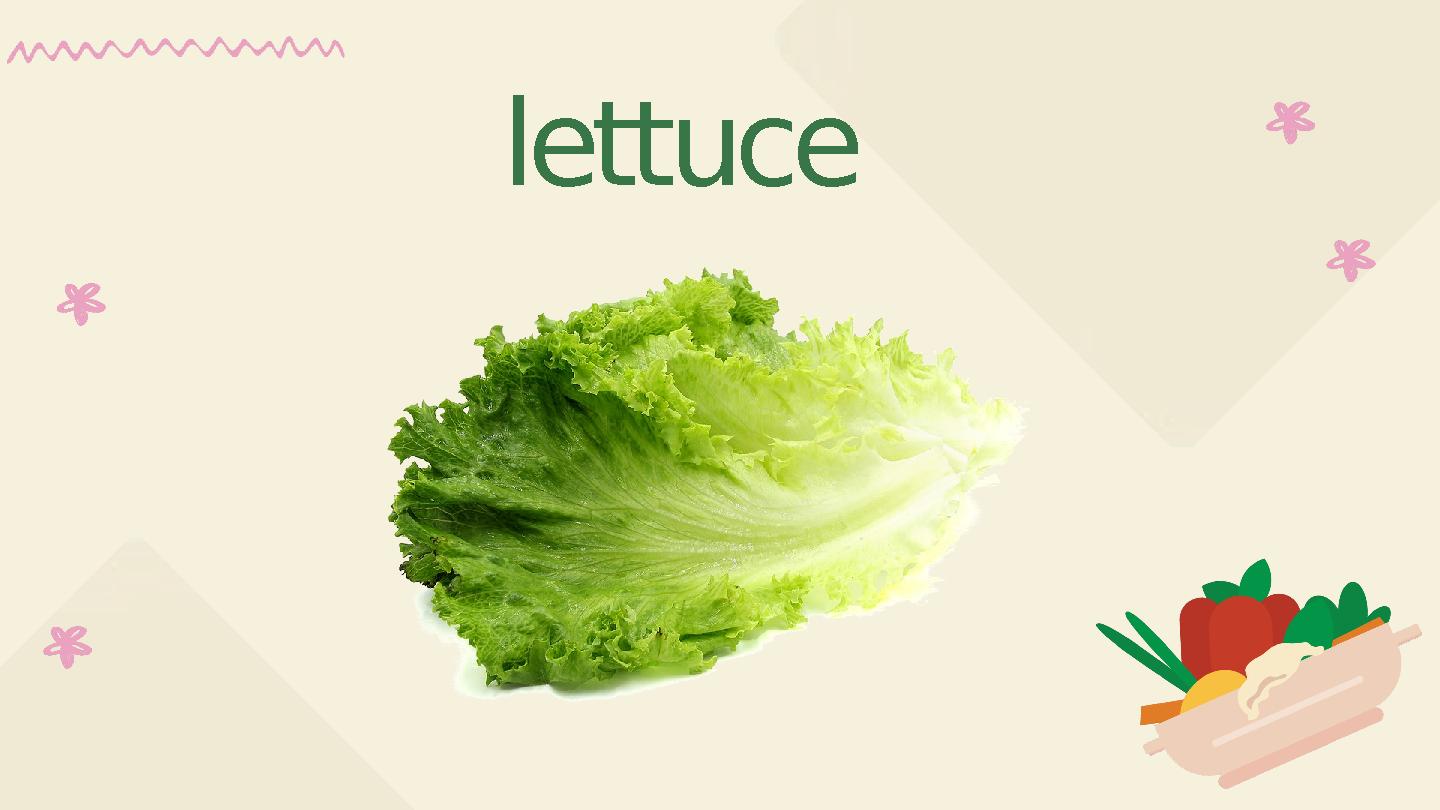 lettuce