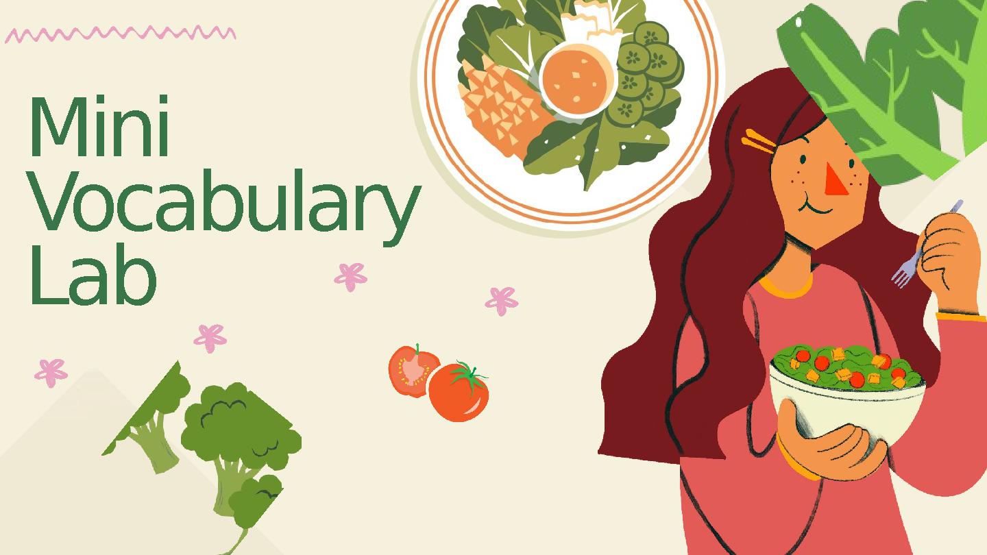Mini Vocabulary Lab