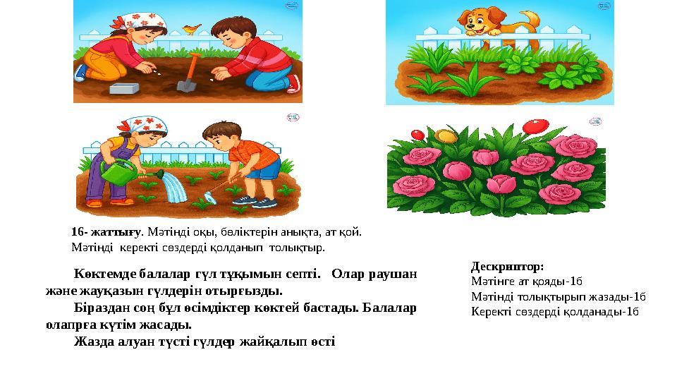 Көктемде балалар гүл тұқымын септі. Олар раушан және жауқазын гүлдерін отырғызды. Біраздан соң бұл өсімдіктер