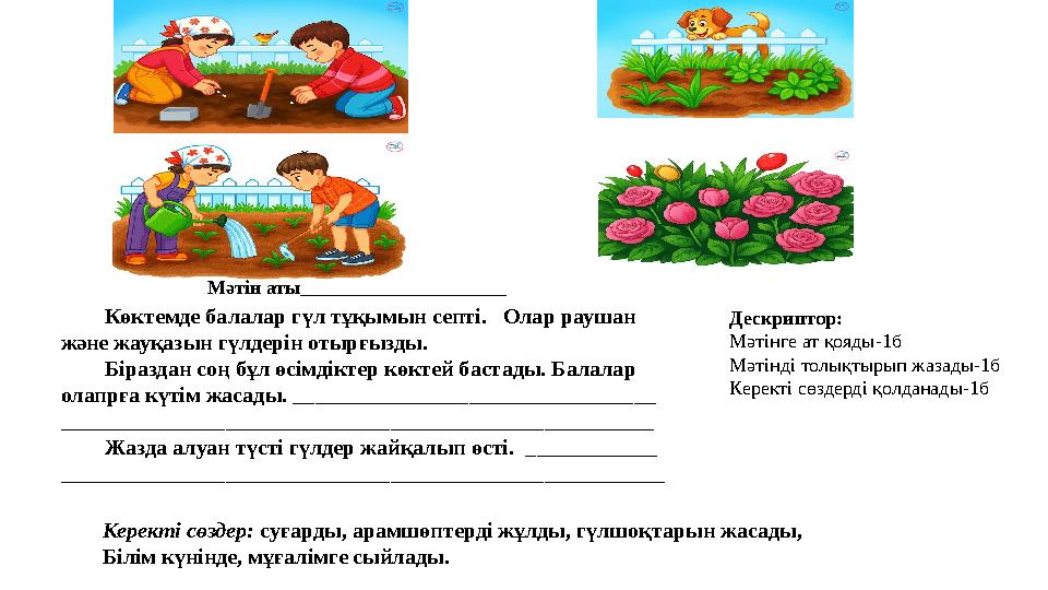 Көктемде балалар гүл тұқымын септі. Олар раушан және жауқазын гүлдерін отырғызды. Біраздан соң бұл өсімдіктер