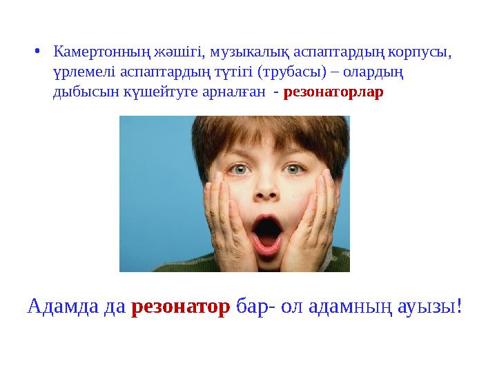 •Камертонның жәшігі, музыкалық аспаптардың корпусы, үрлемелі аспаптардың түтігі (трубасы) – олардың дыбысын күшейтуге арналған