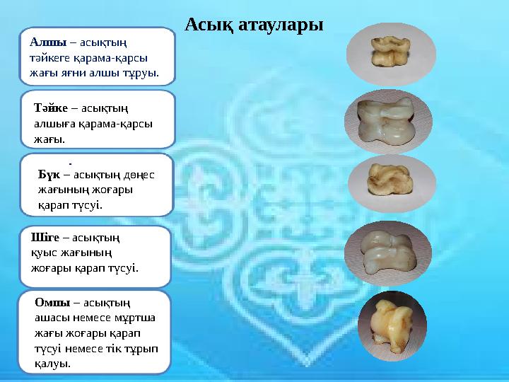 . Асық атаулары Алшы – асықтың тәйкеге қарама-қарсы жағы яғни алшы тұруы. Тәйке – асықтың алшыға қарама-қарсы жағы. Бүк – ас