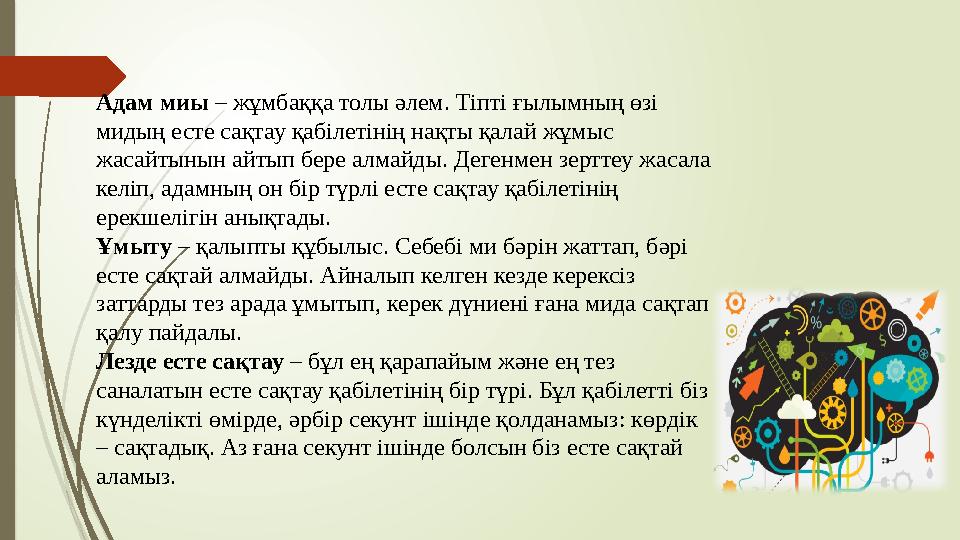 Адам миы – жұмбаққа толы әлем. Тіпті ғылымның өзі мидың есте сақтау қабілетінің нақты қалай жұмыс жасайтынын айтып бере алмайд