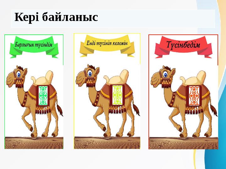 Кері байланыс