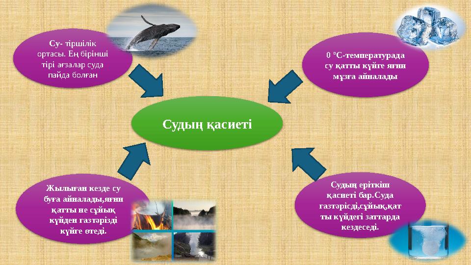 Судың қасиеті Су- тіршілік ортасы. Ең бірінші тірі ағзалар суда пайда болған 0 ºС-температурада су қатты күйге яғни мұзға а