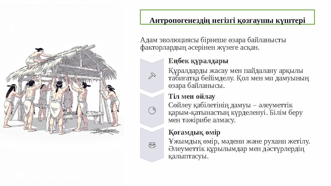 Антропогенездің негізгі қозғаушы күштері Адам эволюциясы бірнеше өзара байланысты факторлардың әсерінен жүзеге асқан. Еңбек құр