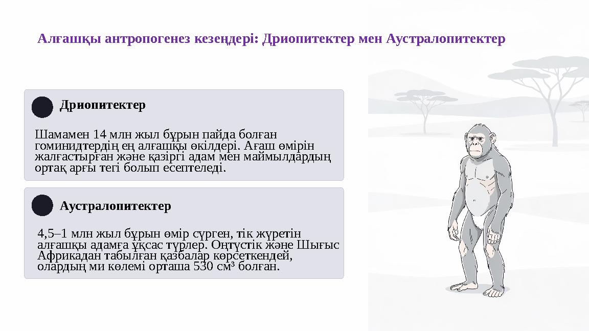 Алғашқы антропогенез кезеңдері: Дриопитектер мен Аустралопитектер Дриопитектер Шамамен 14 млн жыл бұрын пайда болған гоминидтер