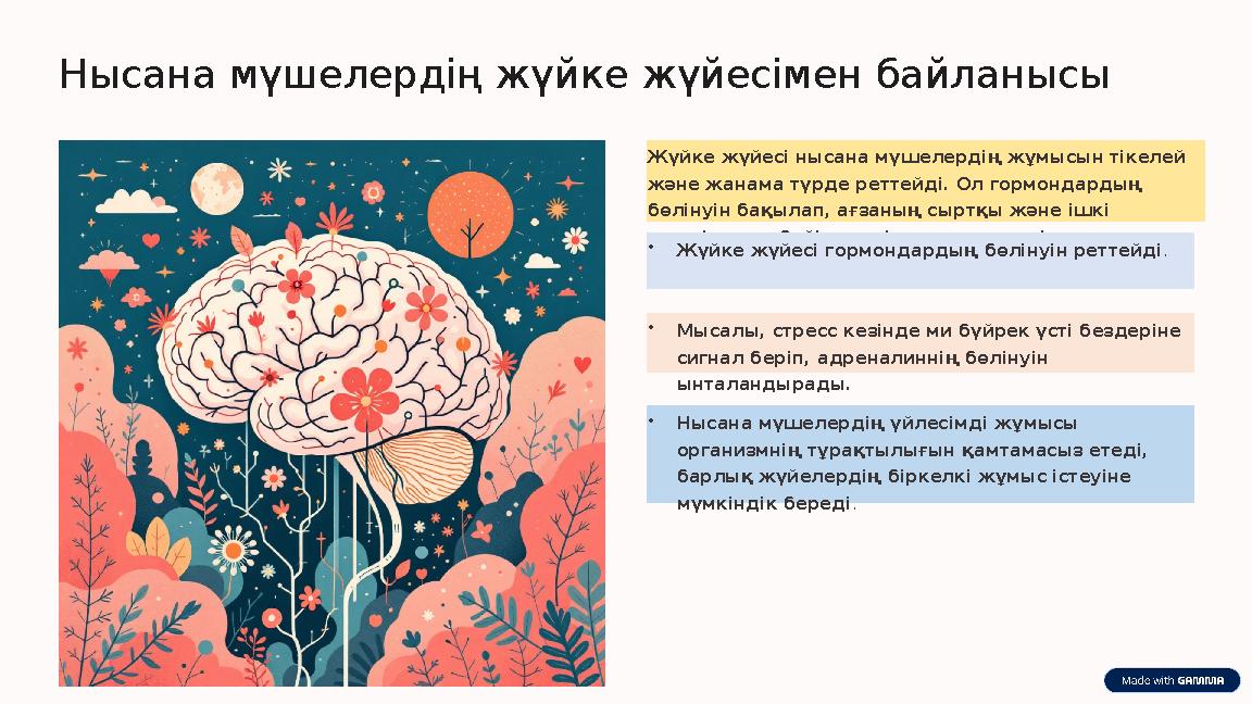 Нысана мүшелердің жүйке жүйесімен байланысы Жүйке жүйесі нысана мүшелердің жұмысын тікелей және жанама түрде реттейді. Ол гормо