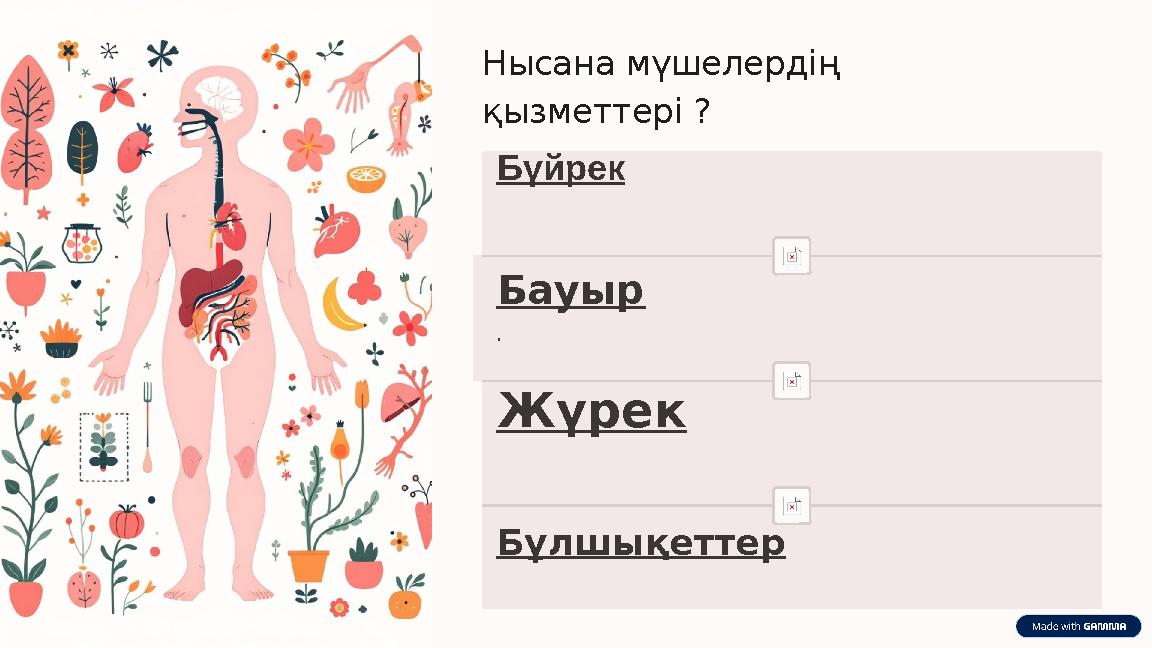 Нысана мүшелердің қызметтері ? Бүйрек Бауыр . Жүрек Бұлшықеттер