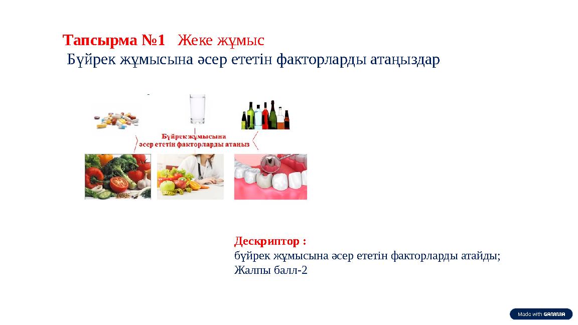 Тапсырма №1 Жеке жұмыс Бүйрек жұмысына әсер ететін факторларды атаңыздар Дескриптор : бүйрек жұмысына әсер ететін факторларды