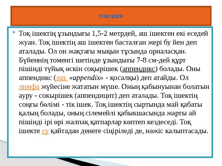 Тоқ ішектің ұзындығы 1,5-2 метрдей, аш ішектен екі еседей жуан. Тоқ ішектің аш ішектен басталған жері бу йен деп аталады.
