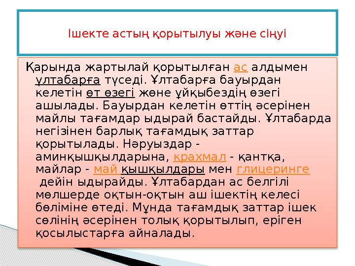 Қарында жартылай қорытылған ас алдымен ұлтабарға түседі. Ұлтабарға бауырдан келетін өт өзегі жөне ұйқыбездің өзегі ашыл
