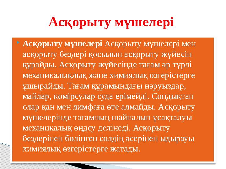 Асқорыту мүшелері Асқорыту мүшелері мен асқорыту бездері қосылып асқорыту жүйесін құрайды. Асқорыту жүйесінде тағам әр т