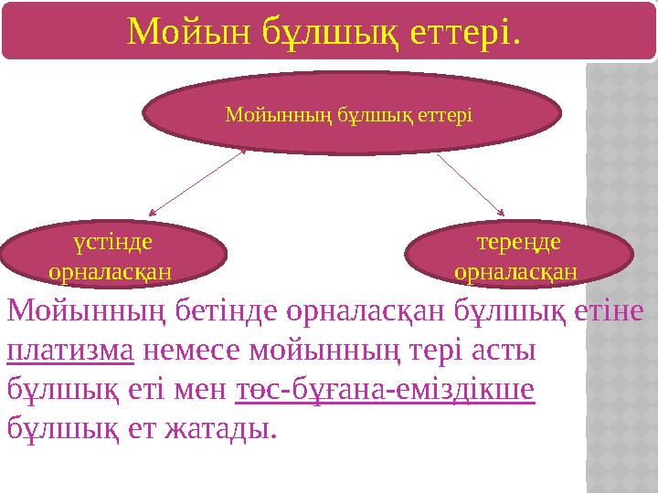 Мойын бұлшық еттері. Мойынның бұлшық еттері Мойынның бетінде орналасқан бұлшық етіне платизма немесе мойынның тері