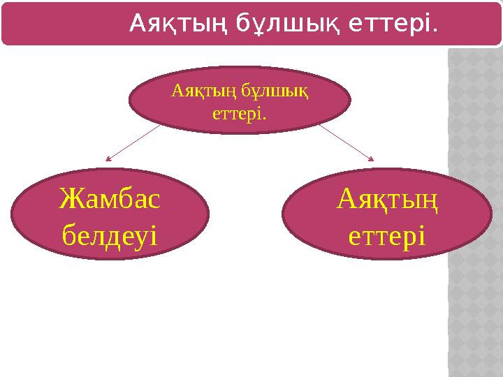 Аяқтың бұлшық еттері. Аяқтың бұлшық еттері. Жамбас белдеуі Аяқтың еттері
